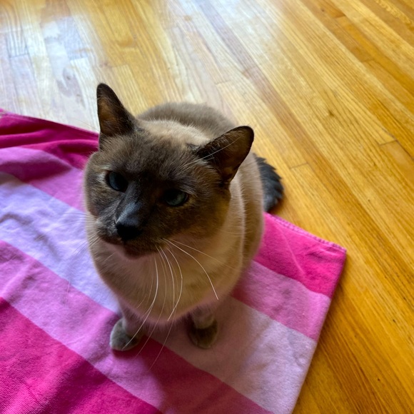 Meet your Posher, Zorrain - Picture 1 of 1